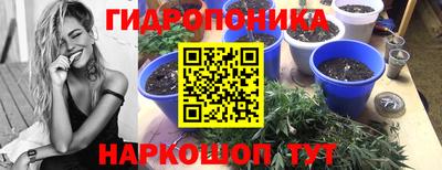 spice Лесосибирск