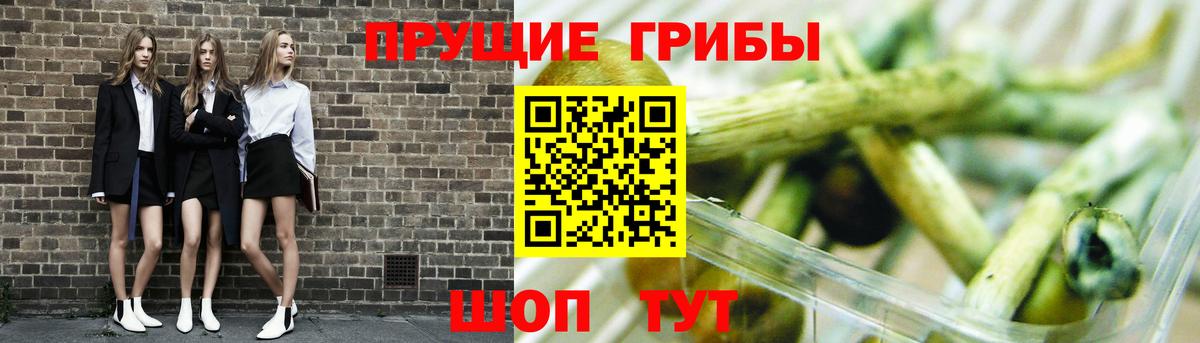 Псилоцибиновые грибы ЛСД  Вход с VPN  Псилоцибиновые грибы мухоморы  Туапсе 